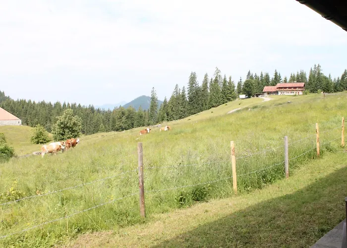 Szálloda Winklmoos Sonnenalm 3*