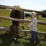 Winklmoos Sonnenalm 3* Reit im Winkl