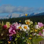 Winklmoos Sonnenalm