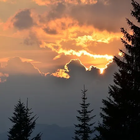 Winklmoos Sonnenalm Reit im Winkl