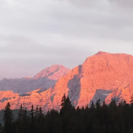 Winklmoos Sonnenalm