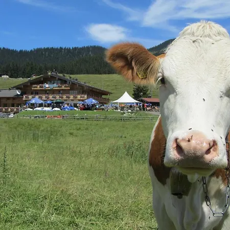 Winklmoos Sonnenalm Szálloda 3*
