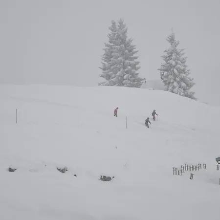 Winklmoos Sonnenalm Hotel 3*