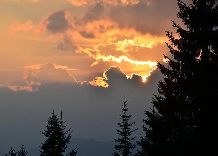 Winklmoos Sonnenalm Reit im Winkl