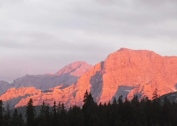 Winklmoos Sonnenalm