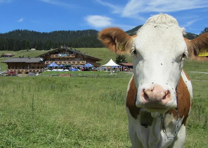Winklmoos Sonnenalm Hotel 3*