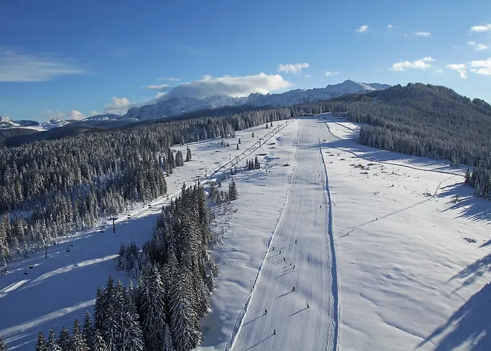 Hotel Winklmoos Sonnenalm 3*