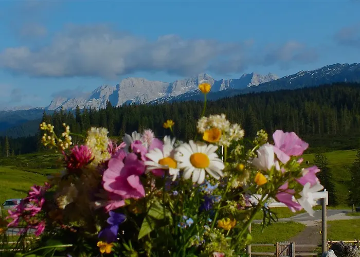 Winklmoos Sonnenalm